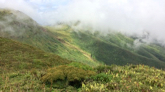 Col Echelle