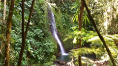 Cascade