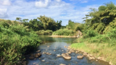 Rivire