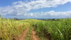 Chemin