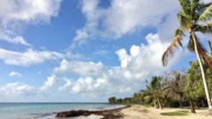 Salines
