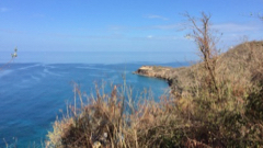 Pointe Lzarde