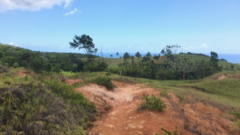 Descente