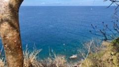Littoral Mlendure
