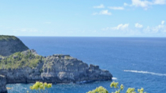 Pointe Petite Tortue
