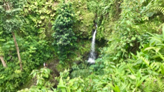 Emerald Fall