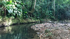 Rivire Bras de Fort
