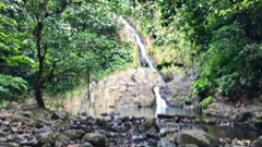 Saut de Bras de Fort