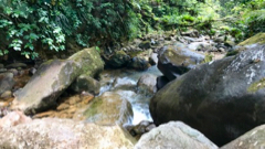 Aval de la Rivire Rouge