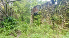 Fort