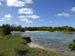 Anse Colas