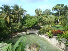 Bas du resto panoramique