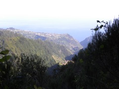 Levada2
