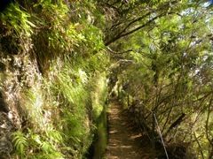 Levada1