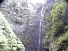 Cascade