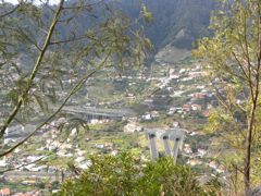 Machicos