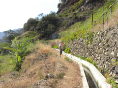 levada Canial