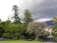 Jardin