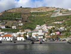 Village