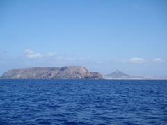 Sillage