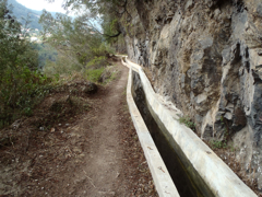 Levada