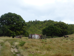 campagne
