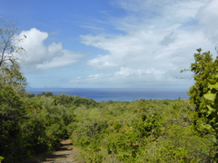 morne
