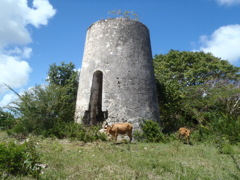 moulin