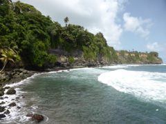 Basse-Pointe