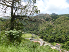 valle