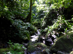 Rivire Couleuvre
