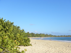 Salines