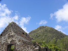 Crve Coeur