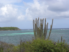Lagon