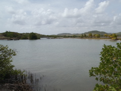 Etang