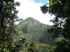 Carbet