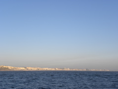 Figueira