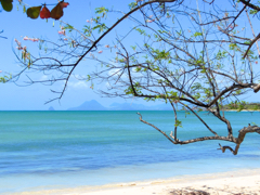 Salines
