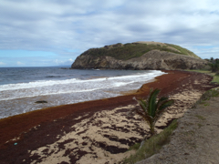 Grande Anse