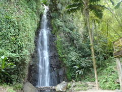Cascade