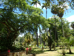 Botanical Gardens