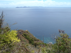 Grenadines