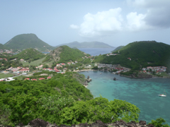 Morel Marigot