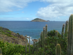 StBarth3