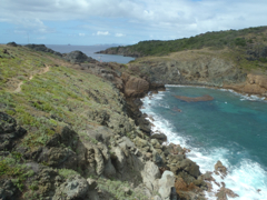 StBarth3