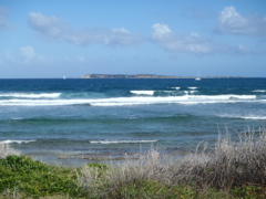 Tintamarre