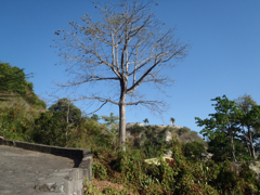 Fort Oranje