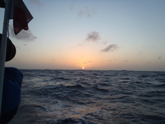 Matin