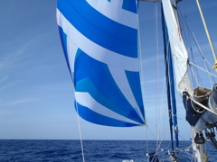 Transat