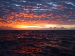 Crepuscule